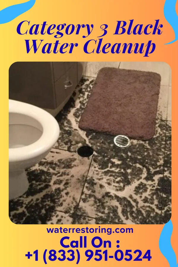 Category 3 Black Water Cleanup in Bucyrus, OH