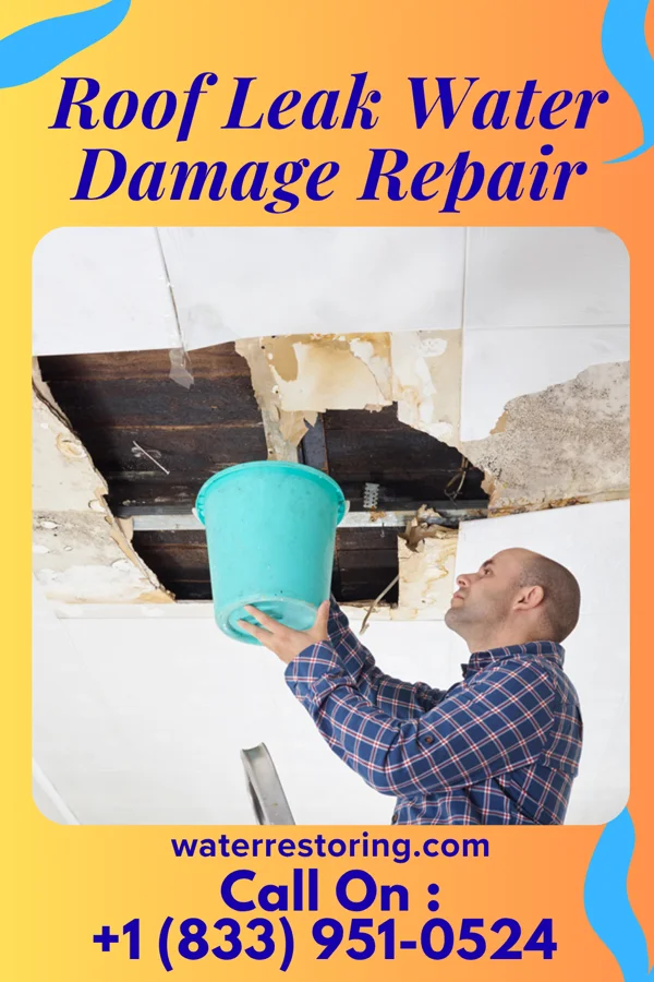 Roof Leak Water Damage Repair in Bucyrus, OH