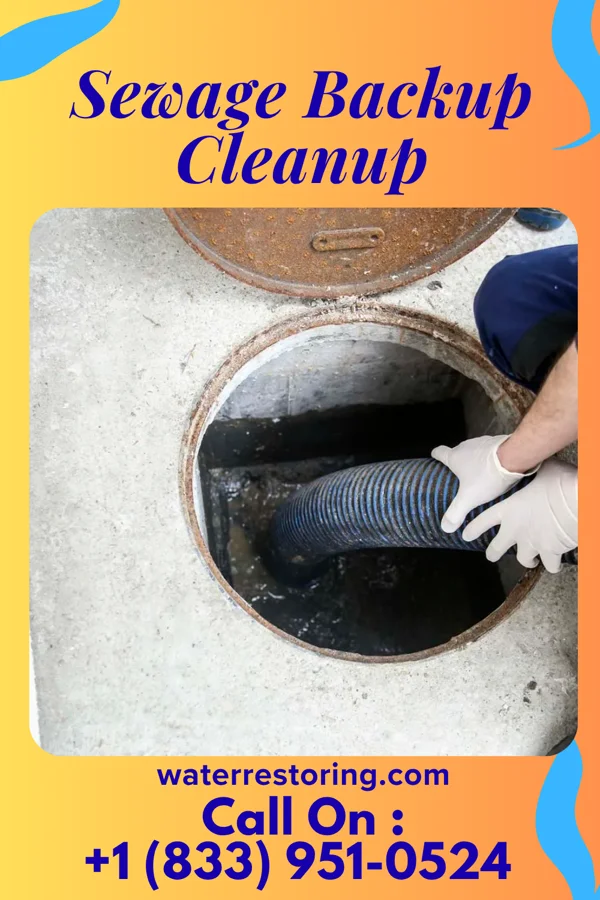 Sewage Backup Cleanup in Bucyrus, OH